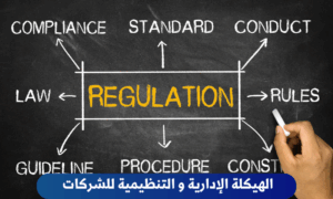 الهيكلة التنظيمية للشركات